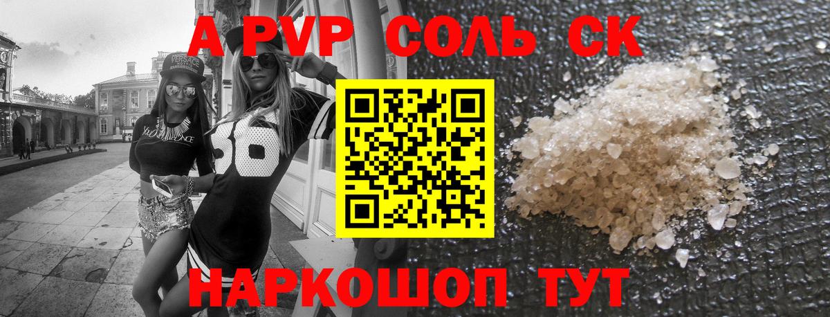 A PVP СК Междуреченск