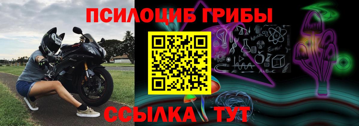 Псилоцибиновые грибы ЛСД  где купить наркоту  Междуреченск  Вход с VPN 